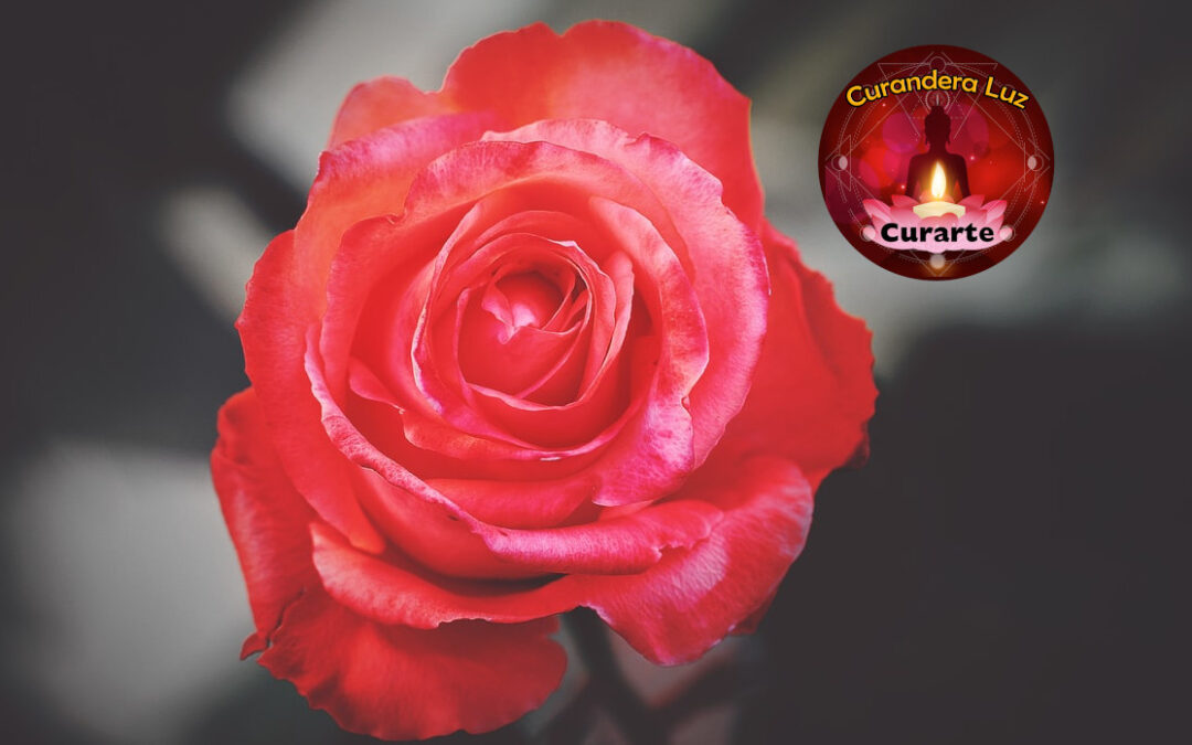 Amarre de Amor con Flores